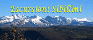 escursioni, passeggiate, sibillini, trekking, foto naturalistiche, foto panoramiche, Monte Vettore, parco nazionale dei monti sibillini, laghi di pilato, foto vettore, foto sibillini, galleria vettore, immagini sibillini, galleria foto, racconto fotografico, escursione al parco dei sibillini, appennini, montagna, forca di presta, forca viola, rifugio zilioli, umbria, marche, castelluccio, Camerino, Sarnano, Monte Igno, montigno, montelago, piani di Ragnolo, Fargno, Fiastrone, Acquasanta, Pizzo Berro, Monte Priora, Pizzo Tre Vescovi, Monte Rotondo, Monte Castel Manardo, Monte palazzo Borghese, Monte Porche, Monte Bicco, Monte Argentella, Cima del Redentore, Pizzo del diavolo, Monte Sibilla, Monte Prata, Paolo Grifantini, Roberto Re, Marco Scarinci