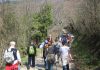 nordic walking ussita