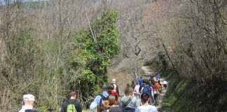 nordic walking ussita