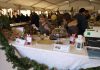 immagine degli stand