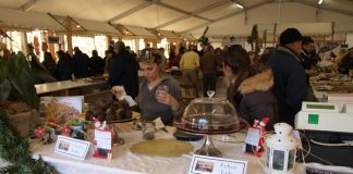 immagine degli stand