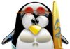 tux beach boy
