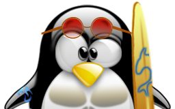 tux beach boy