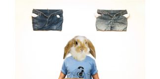 immagine banner home tuiky coniglio
