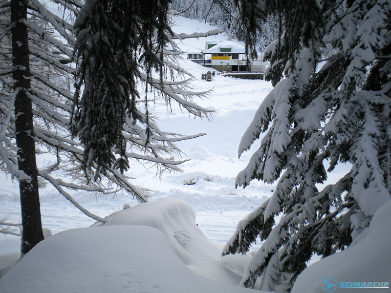 Sciare a Pescegallo - Valgerola - Lombardia