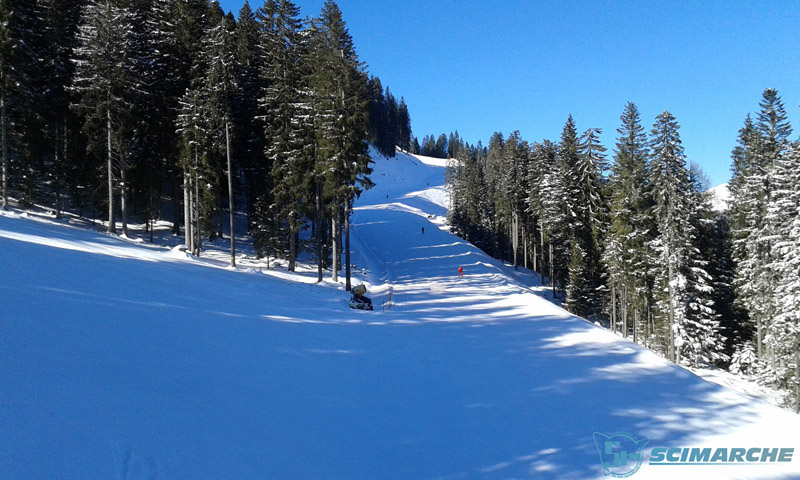 Sciare in Val Comelico - Veneto