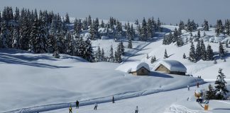 Sciare a Folgaria, Luserna e Lavarone sull'Alpe Cimbra - Trentino Alto Adige
