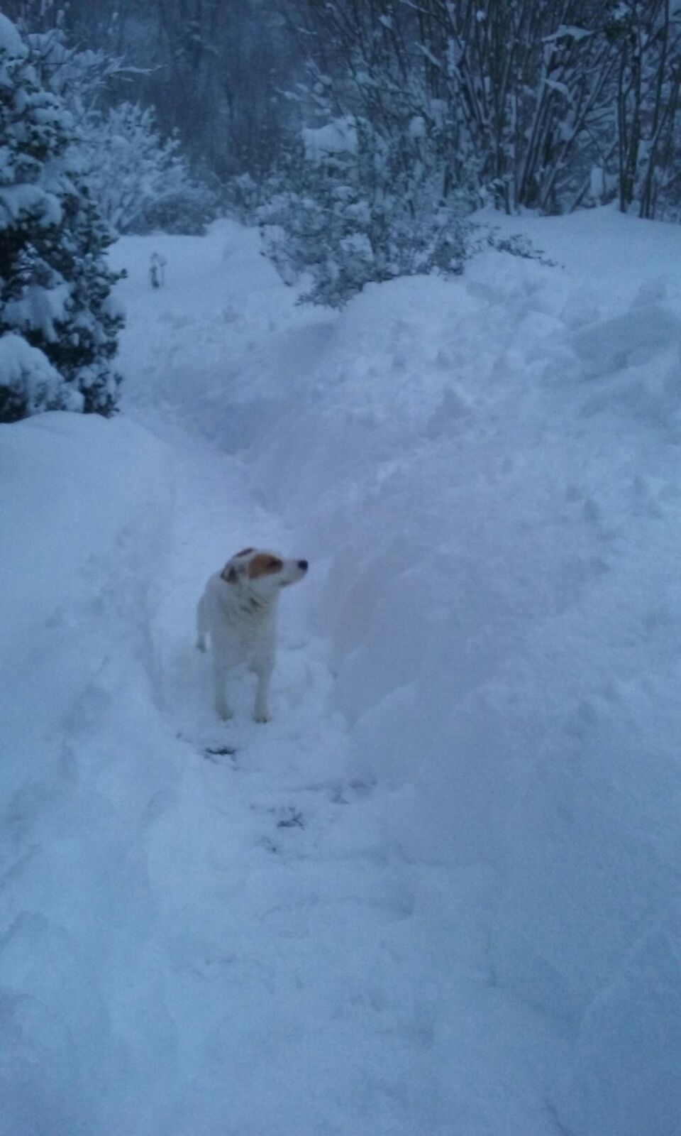 Situazione neve Monte Cavallo