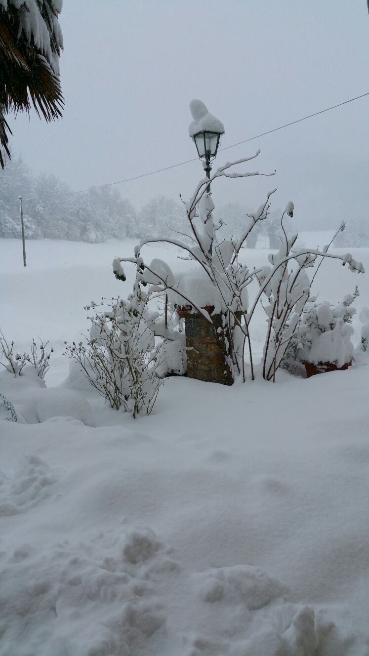 Situazione neve - Val Fornace - frazione Colle di Fiano