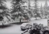 Video della nevicata a Pioraco