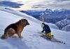 La foto del giorno di Lorenzo Alesi con Argo (pastore tedesco alsaziano Argo) fotografati da Tania Montani - Montagna dei Fiori