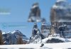 Piste da sci in Alta Badia - Trentino Alto Adige