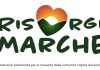 Il festival Risorgimarche