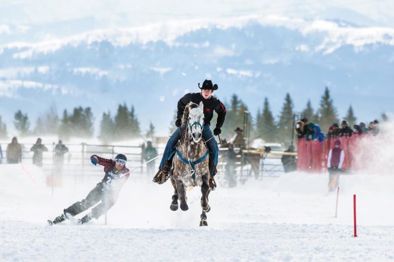 Che cosa è lo Skijoring e dove praticarlo