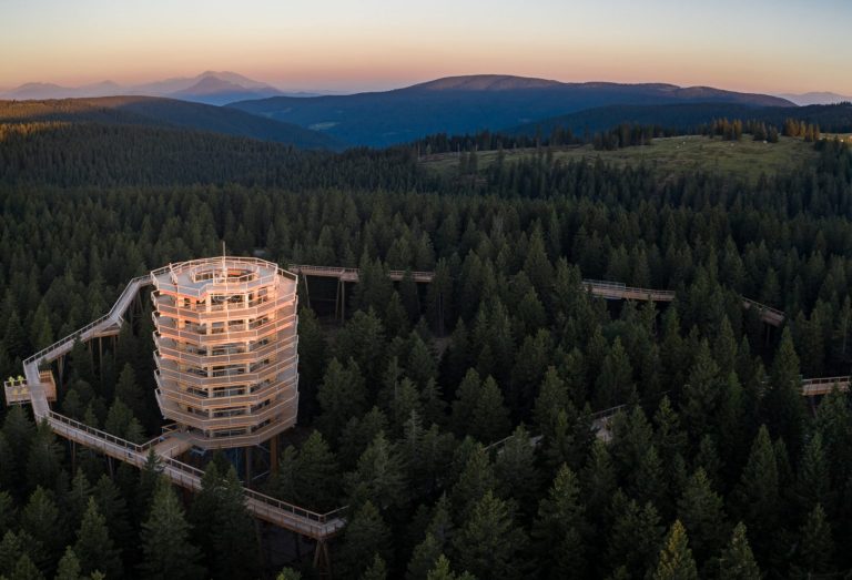 The Tree Top Walk: in slovenia la passeggiata nel bosco a 40 metri di altezza