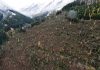 Alto Adige, sistemato 80% dei boschi colpiti dalla tempesta Vaia