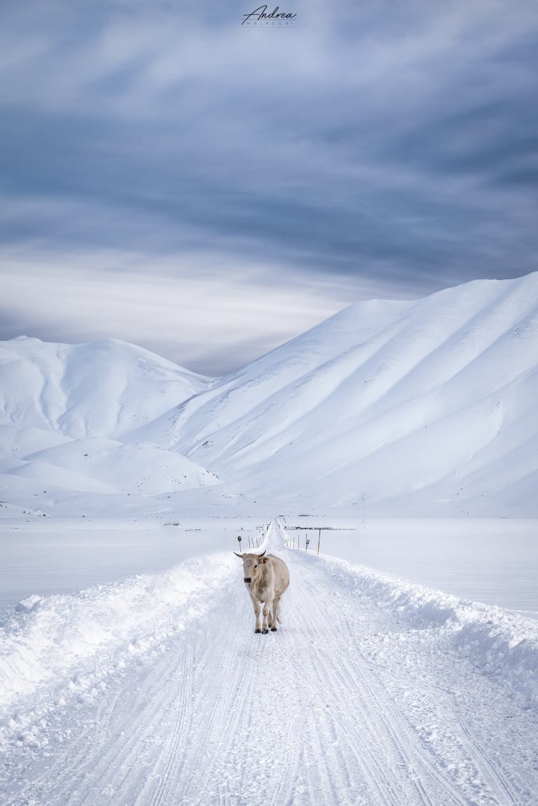Castelluccio di Norcia, la foto spettacolare scattata da Andrea Malacchi