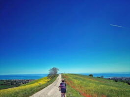 Vacanze in bicicletta nelle Marche, i percorsi più belli dove andare in estate