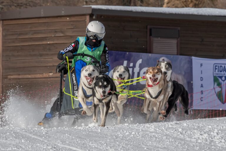 Intervista al campione italiano di sleddog Luca Bongarzoni