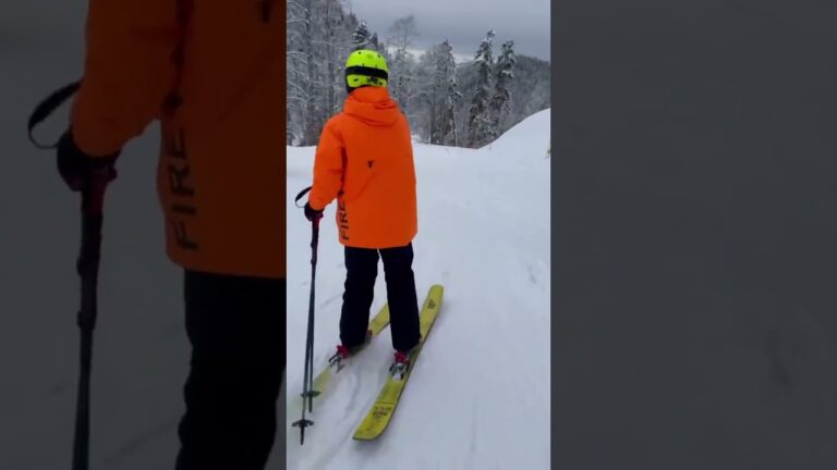 Krasnaja Poljana, toro entra nella pista da sci catturato e restituito al suo proprietario