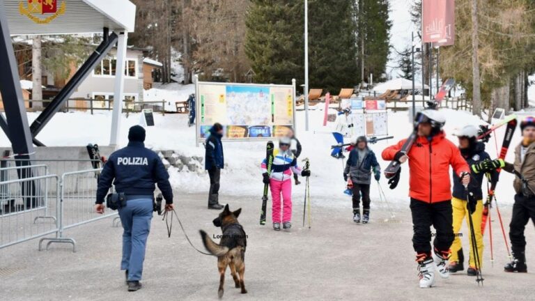 Val di Fassa, il cane antidroga Havana in azione sulle piste da sci