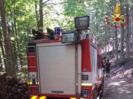 Monte Nerone, escursionista colta nel bosco da un attacco di panico soccorsa dai vigili del fuoco