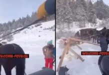 Val Badia, cavalli imbizzarriti creano il panico tra gli sciatori sulla pista Armentarola – VIDEO