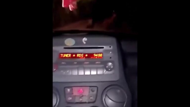 Abruzzo, nuovo grave episodio inseguono orsa e i suoi orsetti con l’auto e mettono online il video