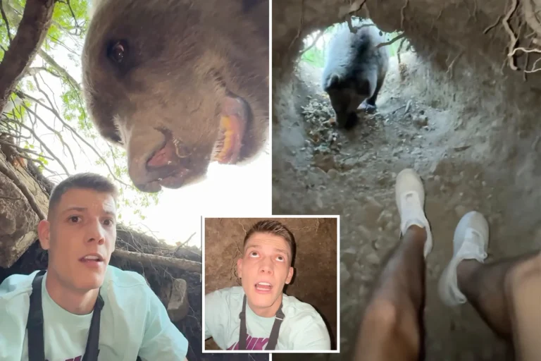 Infuencer entra nella tana dell’orso per curiosare ma all’improvviso l’animale lo sorprende – video