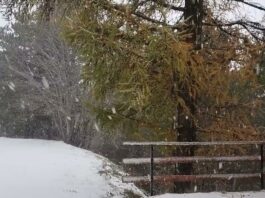 Prima nevicata sui Monti Sibillini, Frontignano e Bolognola prevedono di aprire le piste il 7 o l’8 dicembre – video
