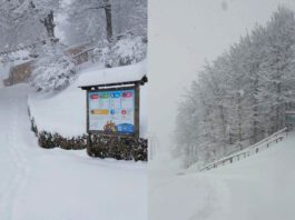 Monte Catria apre la stagione sciistica 2025/2026: cabinovia, rifugio e area bambini operativi dal 23 novembre