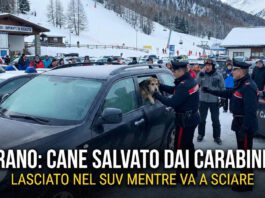 Merano, va a sciare e lascia il cane chiuso dentro al suv per ore salvato dai Carabinieri