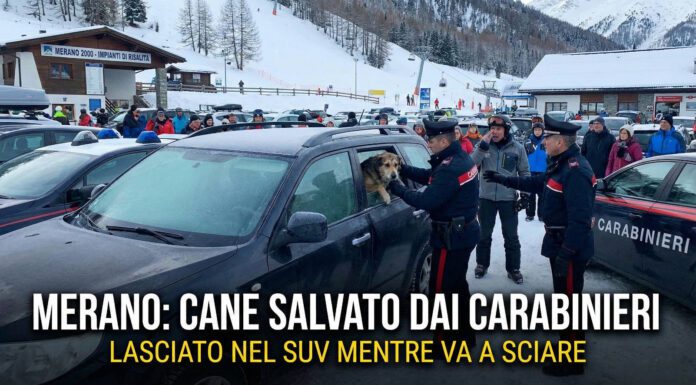 Merano, va a sciare e lascia il cane chiuso dentro al suv per ore salvato dai Carabinieri