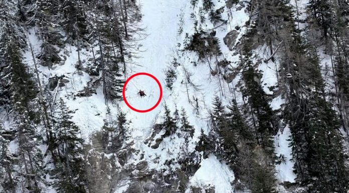 Courmayeur, follia in alta quota due freerider americani rischiano la morte in un canalone vietato – VIDEO