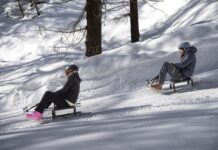 Monterosa Ski, a Gressoney-La-Trinité debutta Murmeltier la nuova pista di slittino – VIDEO