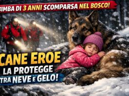 Bimba di 3 anni scomparsa nel bosco tra neve e freddo, il cane resta sempre con lei e la protegge fino ai soccorsi