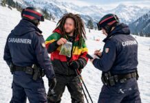 Merano, marijuana sulle piste da sci scoperta dai Carabinieri
