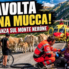 Monte Nerone, donna travolta da una mucca dopo una foratura in bici: arriva l’eliambulanza