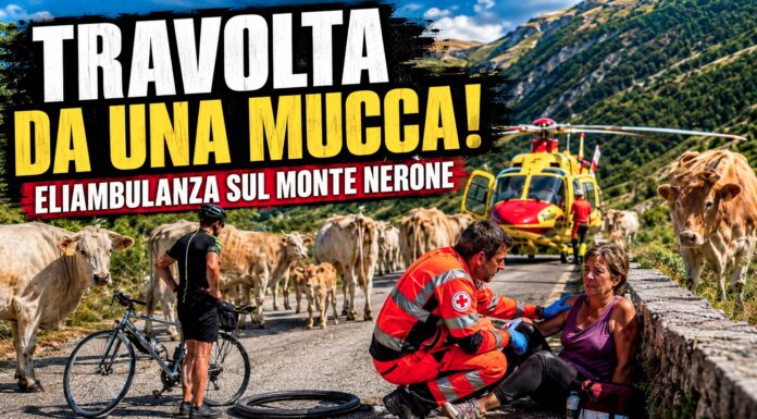 Monte Nerone, donna travolta da una mucca dopo una foratura in bici: arriva l’eliambulanza