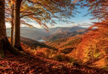 7 posti dove vedere il foliage nelle Marche: boschi e montagne da non perdere in autunno