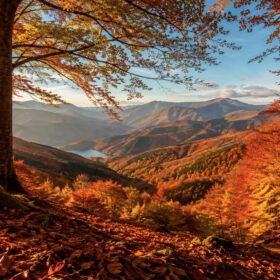 7 posti dove vedere il foliage nelle Marche: boschi e montagne da non perdere in autunno