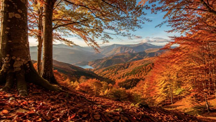 7-posti-dove-vedere-il-foliage-nelle-marche-boschi-e-montagne-da-non-perdere-in-autunno
